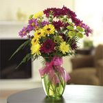 Positively Pompons flowers