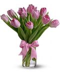 Precious Pink Tulips Precious Pink Tulips