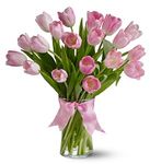 Precious Pink Tulips 