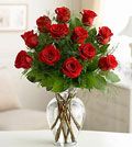 Premium Dozen Long-Stemmed Roses 