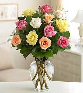 Premium Long Stem Assorted Roses