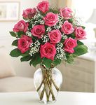 Premium Long Stem Roses Premium Long Stem Roses