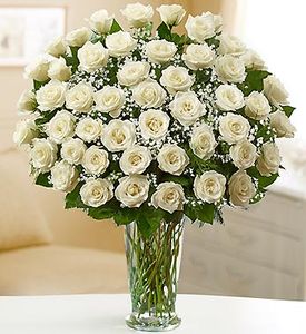 Premium Long Stem White Roses Sympathy