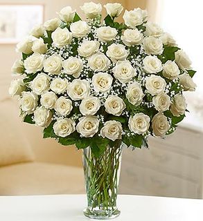 Premium Long Stem White Roses Sympathy