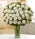Premium Long Stem White Roses Sympathy