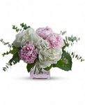 Pretty in Peony