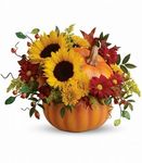 Pretty Pumpkin Bouquet Pretty Pumpkin Bouquet