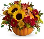 Pumpkin Bouquet Pumpkin Bouquet