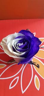 ONLY Purple ROSE 1 DOZEN IN VASE 