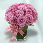 Purple Rose Purple Rose