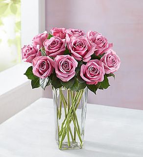 Purple Roses