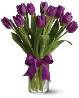 Purple Tulips