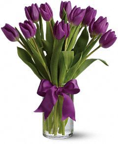 Purple Tulips