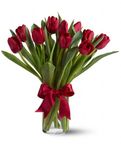 Radiantly Red Tulips Flowers Radiantly Red Tulips Flowers