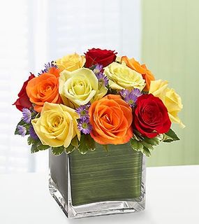 Rainbow of Roses 