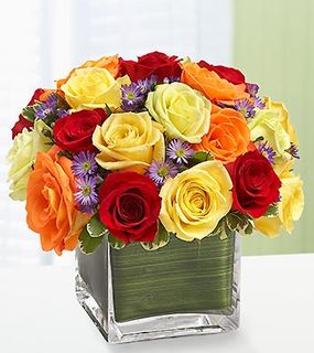 Rainbow of Roses 