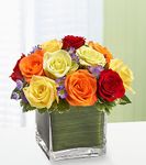 Rainbow of Roses  Rainbow of Roses