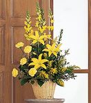 Ray of Hope Arrangement
