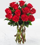Red 1 dozen long stem rose Red 1 dozen long stem rose