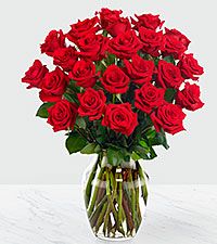 REd 24 long stem rose