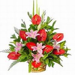 Red anthurium and sweet pink lily basket