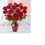 Red rose 