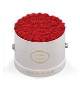 Red Rose