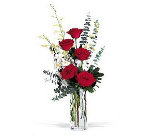 Red Roses and White Orchids