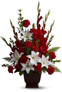 Red Sympathy Flowers Tender Tribute Flowers