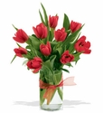 Red Tulips Red Tulips