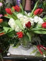 Red Tulips Red Tulips