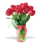 Red Tulips 