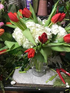 Red Tulips 