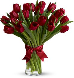 Red Tulips Flowers