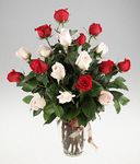  Red & White Roses 