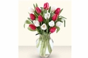 Red & White Tulip Bouquet Red & White Tulip Bouquet