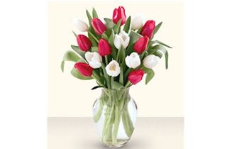 Red & White Tulip Bouquet