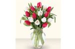 Red & White Tulip Bouquet