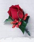 Rose Bloom Boutonniere Rose Bloom Boutonniere