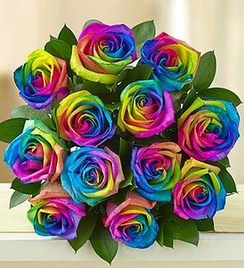 Rose colors Irving