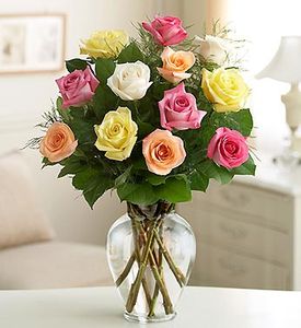  Rose Elegance Premium Long Stem Assorted Roses 