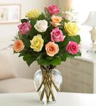  Rose Elegance Premium Long Stem Assorted Roses 