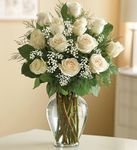 Rose Elegance Premium Long Stem White Roses