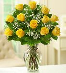  Yellow Rose Elegance Premium Long Stem Roses