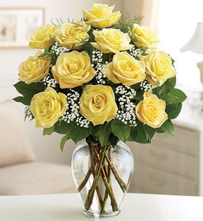 Rose Elegance Premium Long Stem Yellow Roses