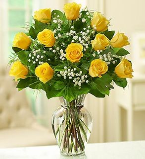  Yellow Rose Elegance Premium Long Stem Roses