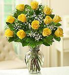 Rose Elegance Premium Long Stem Yellow Roses 