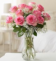 Rose -Pink A dozen arranged with baby breath