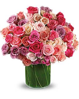 Rose Rapture- 