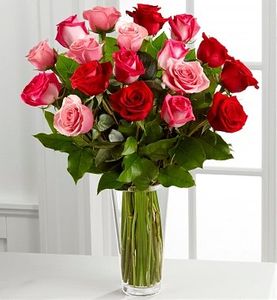 Red Roses Valentines